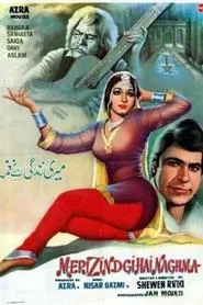 Meri Zindagi Hay Naghma movie poster