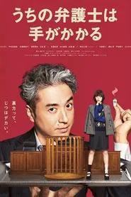 Our Lawyer is a Handful tv show poster