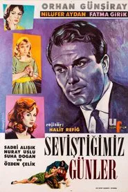 Seviştiğimiz Günler movie poster