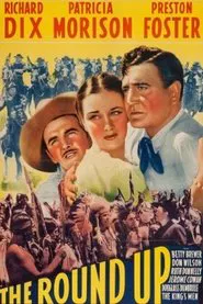 The Roundup movie poster