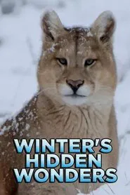 Poster da série Maravilhas Ocultas do Inverno