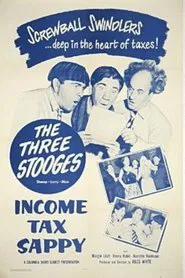 Income Tax Sappy movie poster
