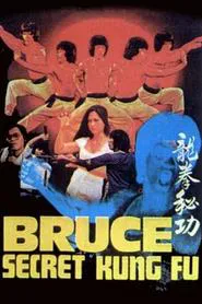 Poster do filme Bruce's Secret Kung Fu