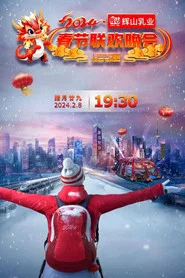 LNTV Spring Festival Gala tv show poster