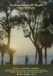 A moment later just like a dream movie poster