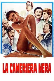Poster do filme Black Maid