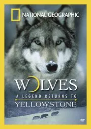 Wolves: A Legend Returns to Yellowstone movie poster
