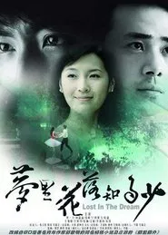 Lost in the Dream tv show poster