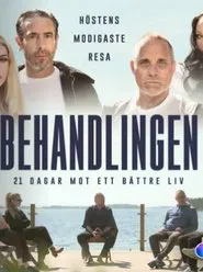 The Treatment tv show poster