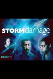 Storm Damage movie poster