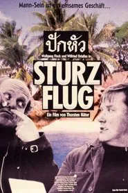 Sturzflug movie poster