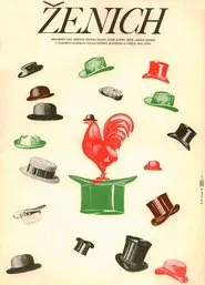 Vőlegény movie poster
