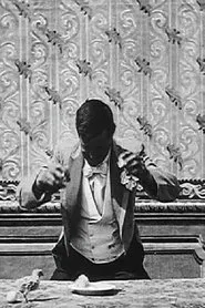 The Marvelous Hen movie poster