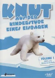 Knut - Aus der Kinderstube eines Eisbären movie poster