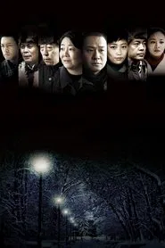 七九河开 tv show poster