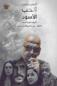 Love is Madness tv show poster