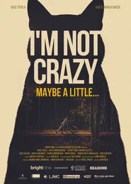 I'm not crazy. Maybe a little... movie poster