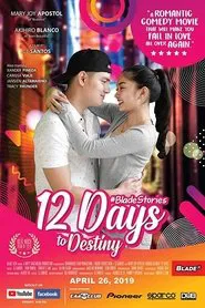 Poster do filme #BladeStories: 12 Days to Destiny