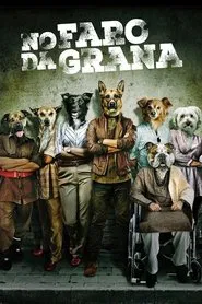 Poster do filme No Faro da Grana