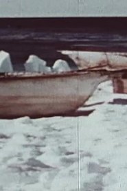 Poster do filme Description of a Struggle