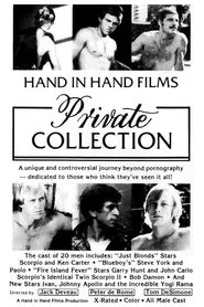 Poster do filme Private Collection