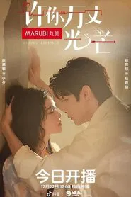 Hidden Marriage tv show poster