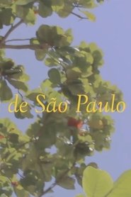 News from São Paulo movie poster