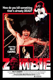 Poster do filme Kung Fu Zombie