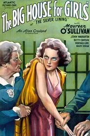 Poster do filme The Silver Lining