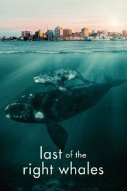 Last of the Right Whales movie poster