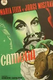 Poster do filme Camelia