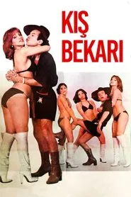 Kış Bekarı movie poster