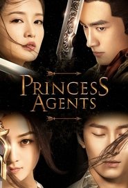 Poster da série Princess Agents