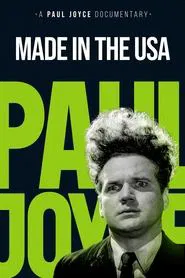 Made in the USA movie poster