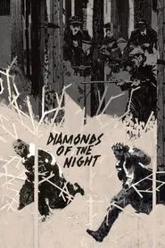 Poster do filme Diamonds of the Night