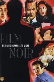 Poster do filme Film Noir: Bringing Darkness to Light