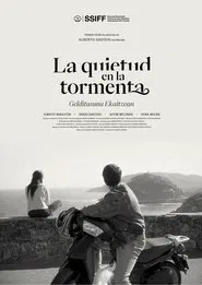 Stillness in the Storm movie poster