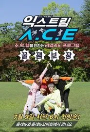 Extreme A.C.E tv show poster