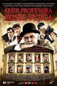 Professor Kosta Vujic's Hat tv show poster