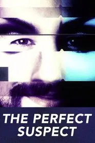The Perfect Suspect tv show poster