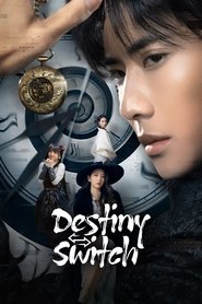 Destiny Switch tv show poster