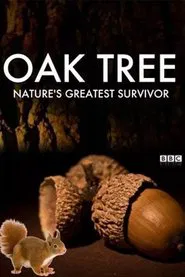 Oak Tree: Nature's Greatest Survivor movie poster