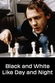 Black and White Like Day and Night movie poster