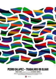 Poster do filme Pedro Calapez: Trabalhos do Olhar