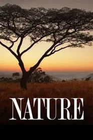 Poster da série Nature