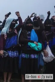 1er janvier 1994 : l’insurrection zapatiste relance le combat contre le capitalisme movie poster