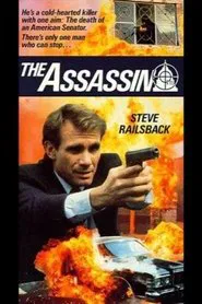 The Assassin movie poster