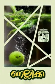 Nellikka movie poster