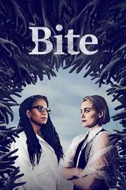 The Second Wave tv show poster