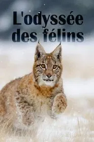 The Odyssey Of Felines movie poster